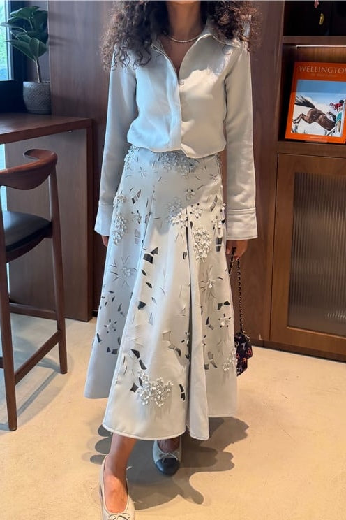 Elegant Long Sleeve Shirt and Skirt Set