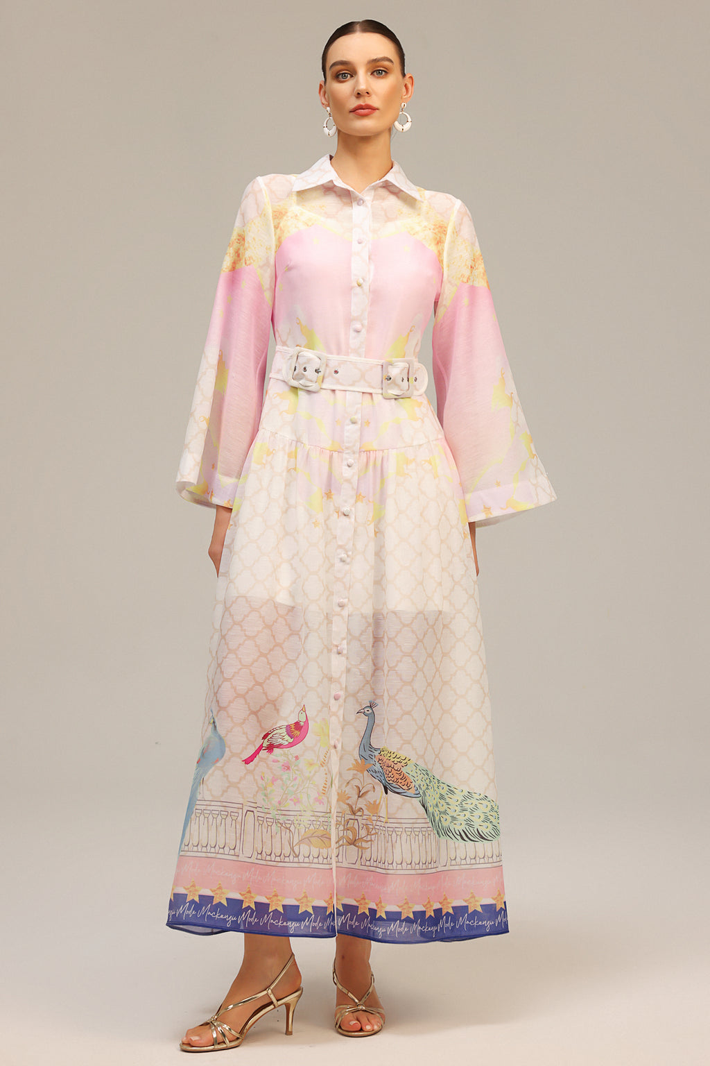 Heloise Long Sleeves  Floral Printed Maxi Dress	