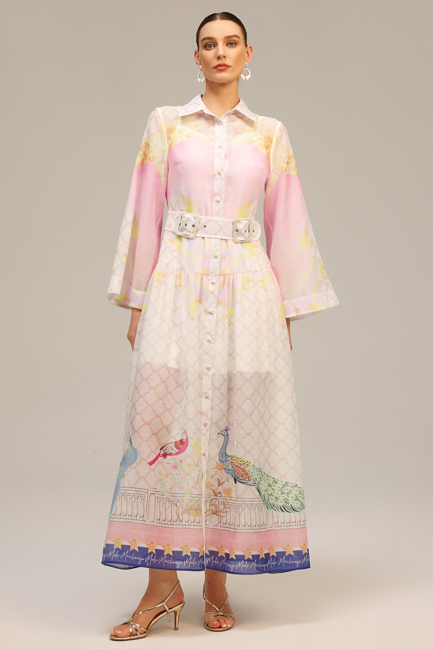 Heloise Long Sleeves  Floral Printed Maxi Dress	