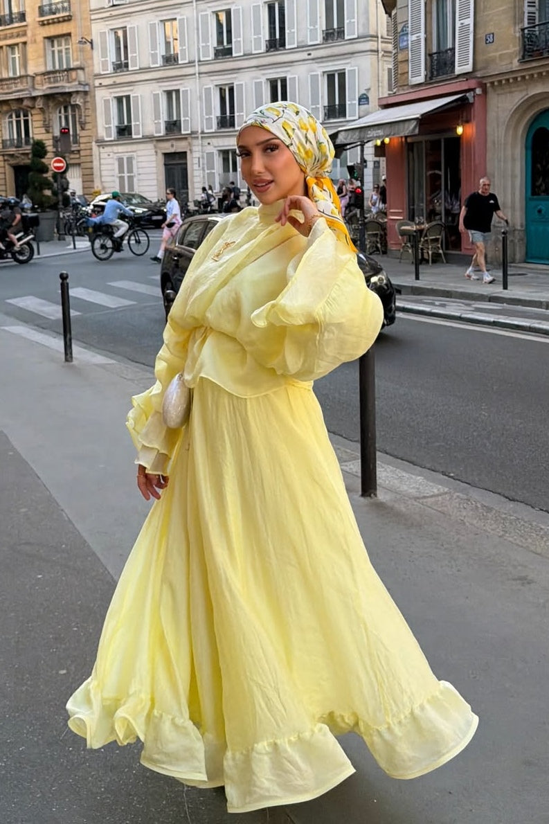 Lustrous Organza Smocked Waist Maxi Dress