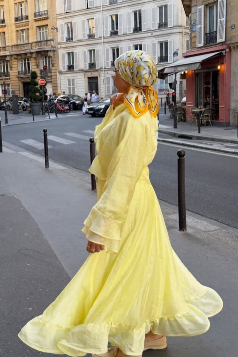 Lustrous Organza Smocked Waist Maxi Dress