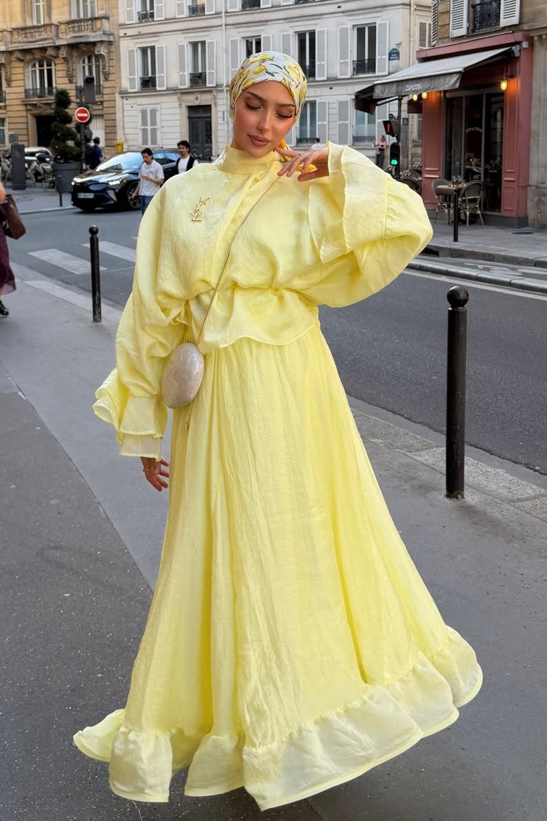 Lustrous Organza Smocked Waist Maxi Dress