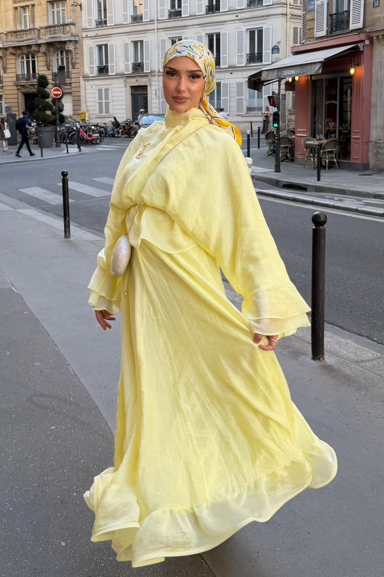 Lustrous Organza Smocked Waist Maxi Dress