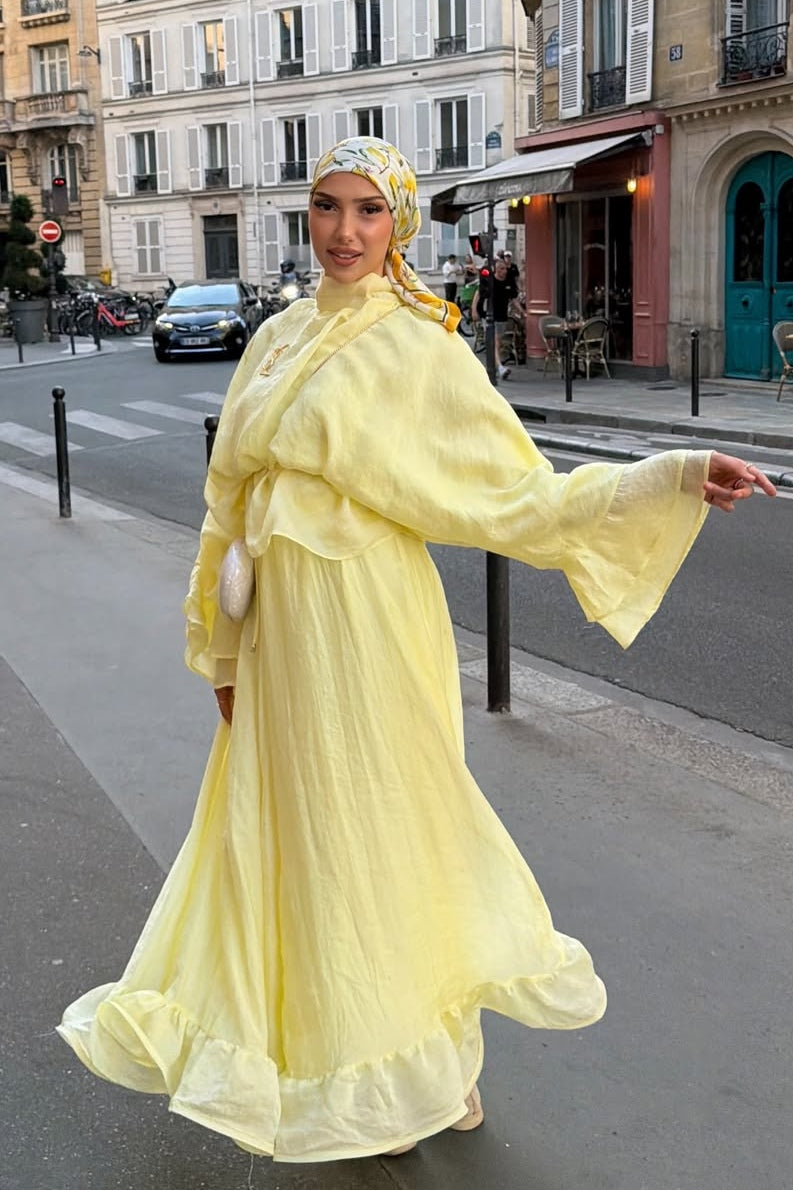 Lustrous Organza Smocked Waist Maxi Dress