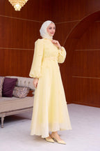 Chloe Floral Applique Organza Maxi Dress-Yellow