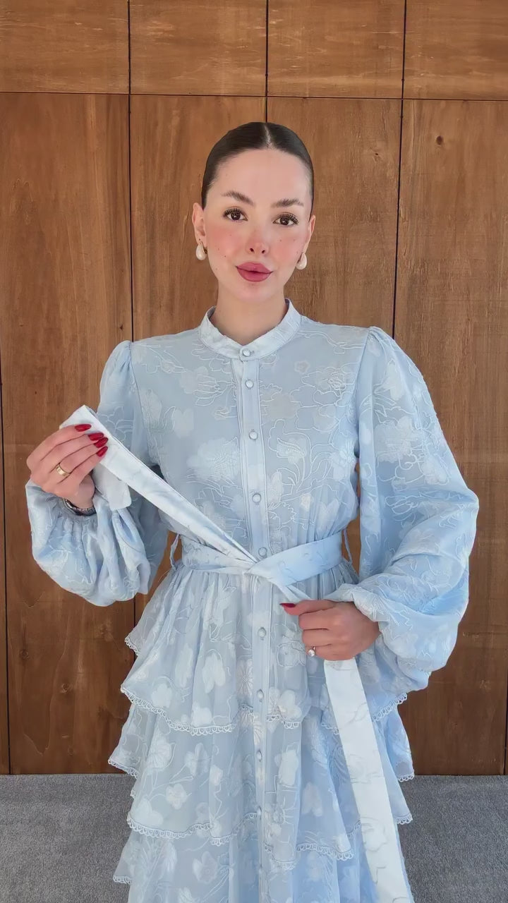Freya Embroidered Tiered Button Front Dress-Blue